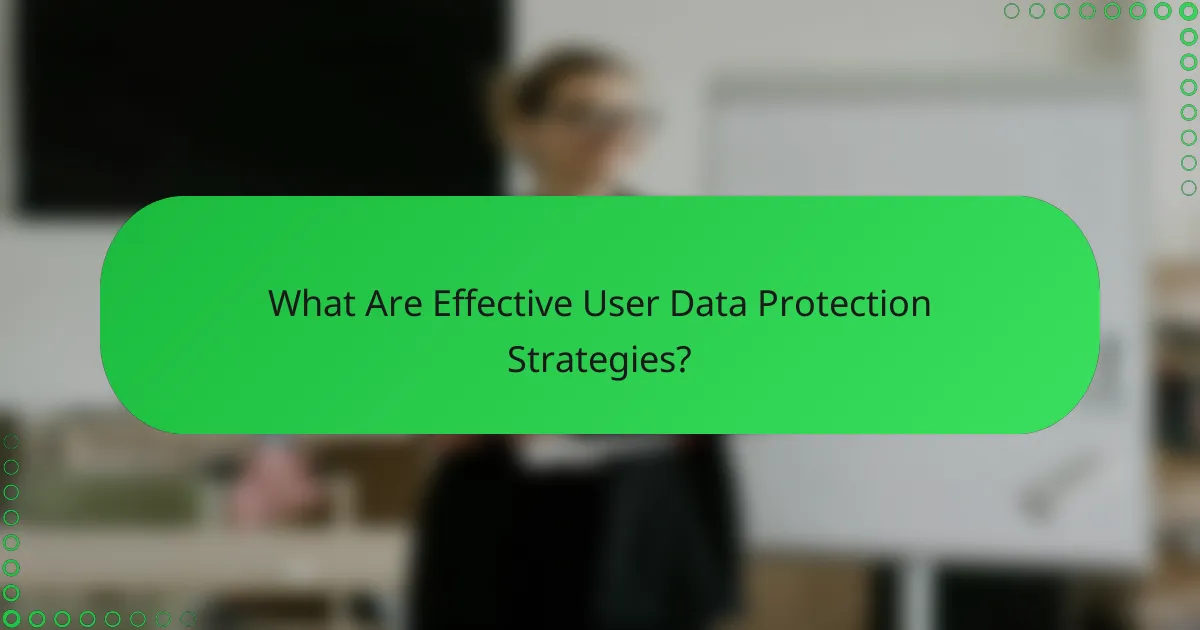 What Are Effective User Data Protection Strategies?